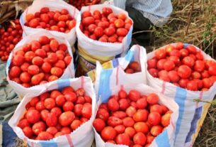 Agriculture, Youth and Private Sector in Rwanda