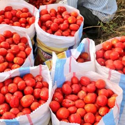 Agriculture, Youth and Private Sector in Rwanda