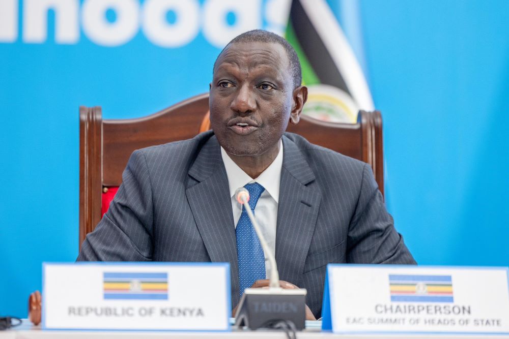 EAC and SADC leaders advance joint peace plan for eastern DRC