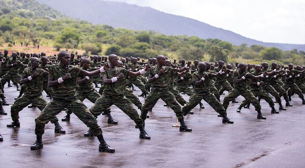 RDF reserve forces, the hidden army waiting in silence