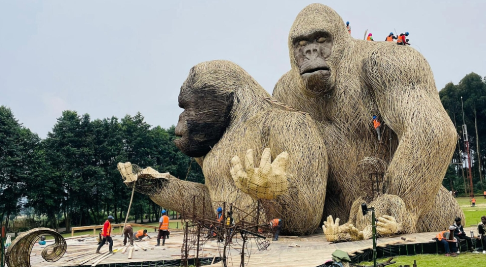 Kwita Izina 2025: A star-studded celebration of Gorillas and global glamour