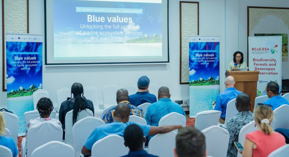 Experts urge adoption of “blue values” to safeguard the Indian ocean