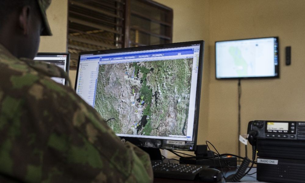 How animal tracking is strengthening conservation across Akagera National Park