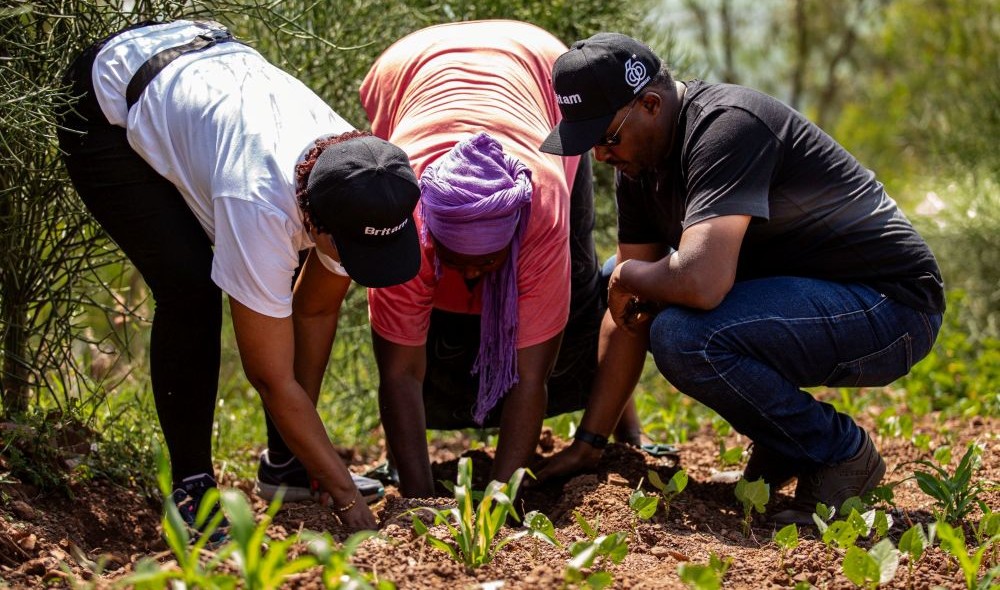 Britam Insurance Company commits to plant 1.5M trees by 2030
