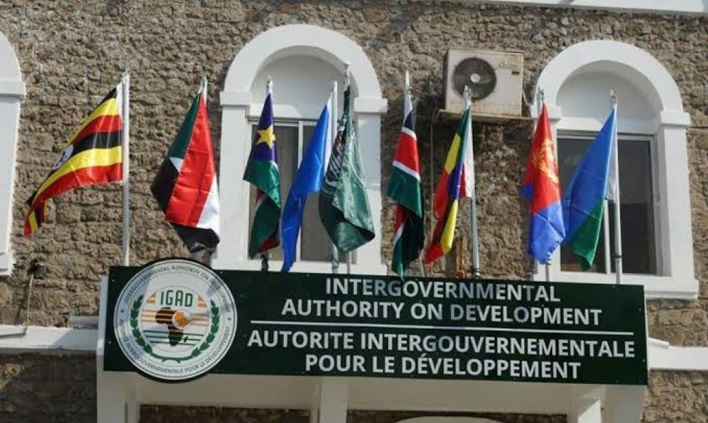 Eritrea withdraws from IGAD again, citing loss of purpose and bias