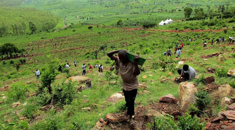 Rwanda’s earmarks $355M to restore over 5,000 hectares of land