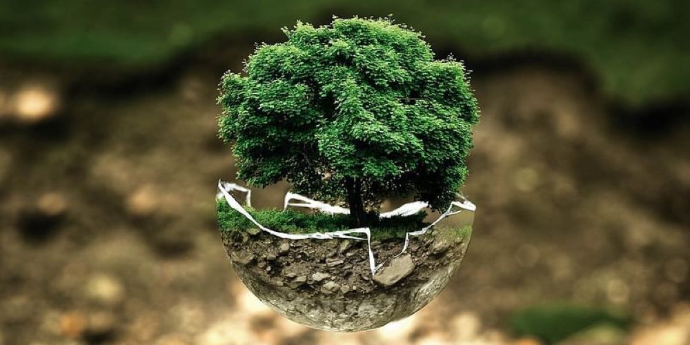 Six habits to abandon this year to protect the planet